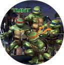 Teenage Mutant Ninja Turtles Edible Icing Image #3